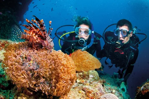 Diving in Kotor